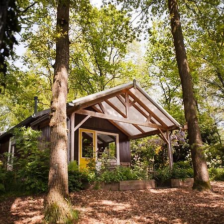 Knus Boshuisje Onder De Eiken Ermelo Ngoại thất bức ảnh