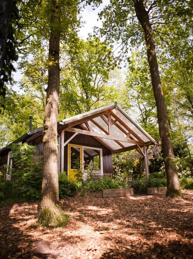 Knus Boshuisje Onder De Eiken Ermelo Ngoại thất bức ảnh